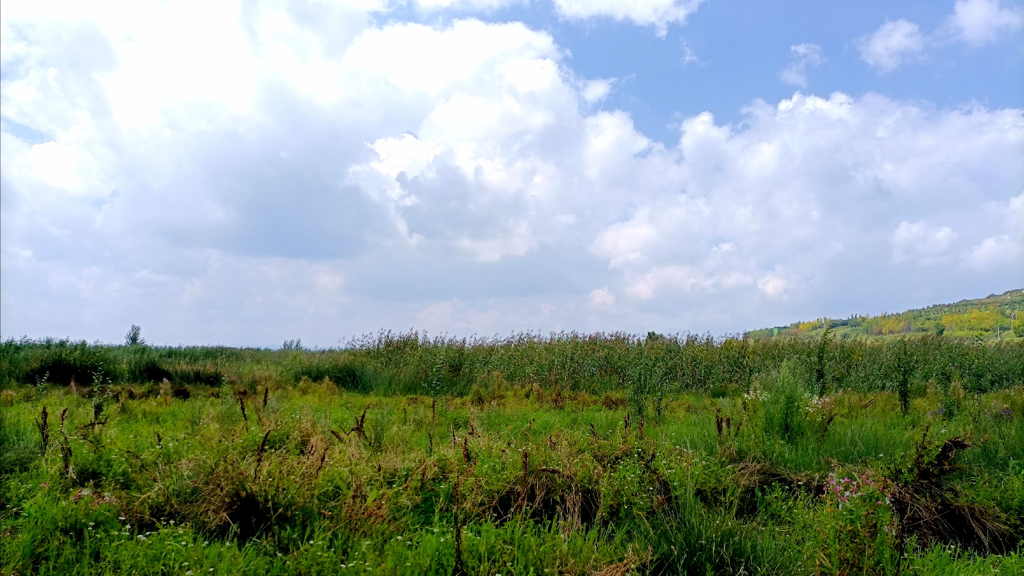 威宁西海码头攻略,西海码头门票_地址,西海码头游览攻略 - 马蜂窝