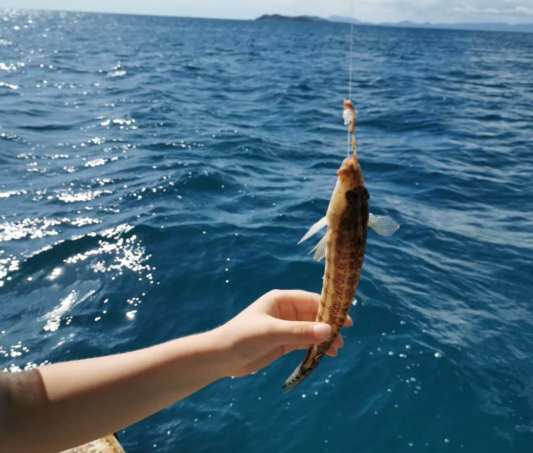 三亞大東海出海純海釣遊專業釣魚艇帶內艙衛生間百分百漁獲每船不超12