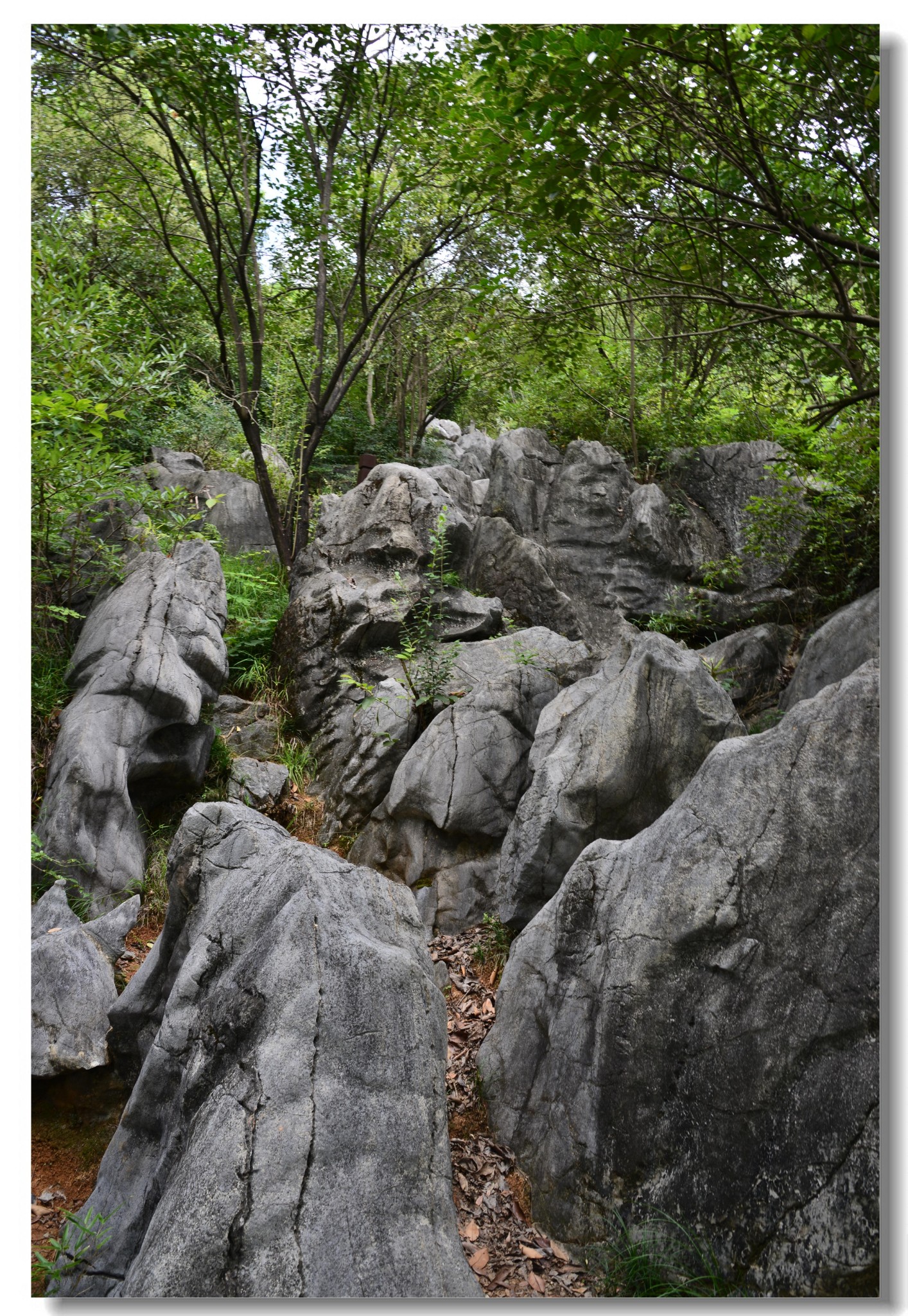 浙江 衢州 常山 三衢石林景區