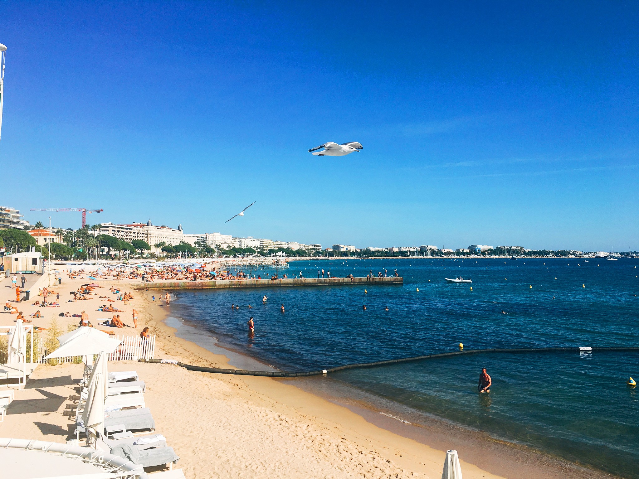 戛纳老港 戛纳影节宫 马丁内斯海滩 戛纳