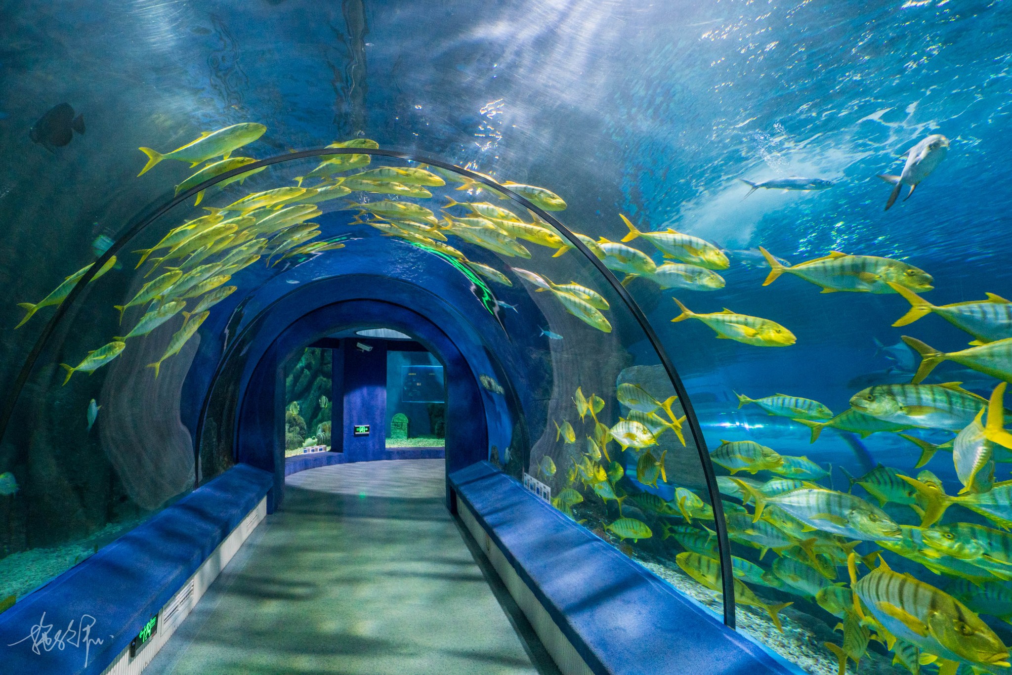 遇见福州,醉滨海之清风,享山间之明月