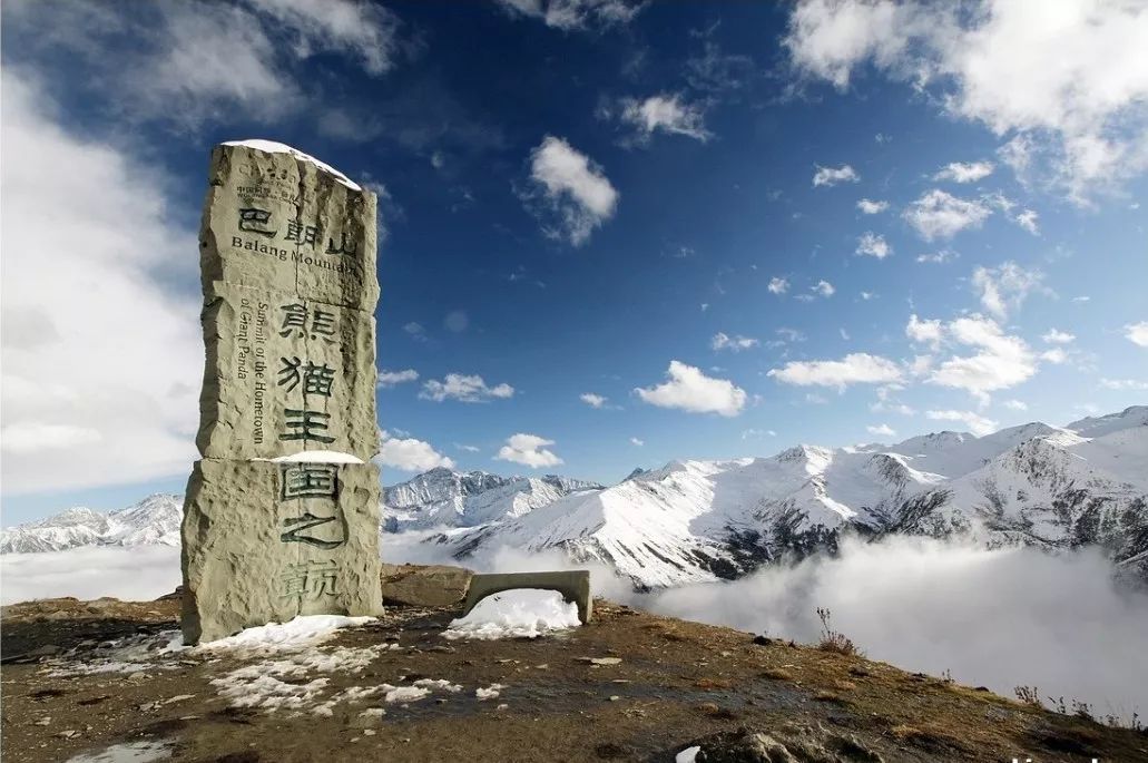 巴朗山一日游成都初出发攀登熊猫王国之巅看云海玩雪