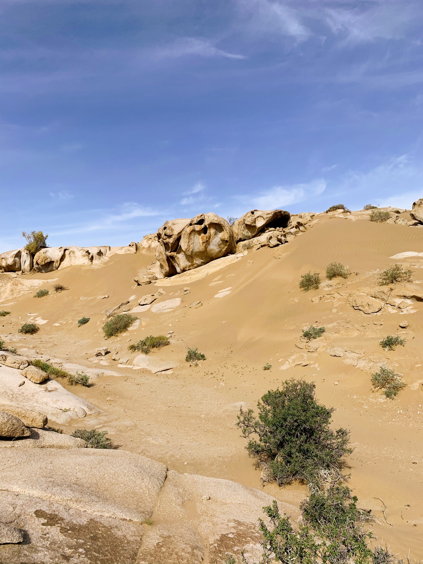 震撼眼球——戈壁荒漠风沙肆虐过的石头,阿拉善右旗旅游攻略 - 马蜂窝