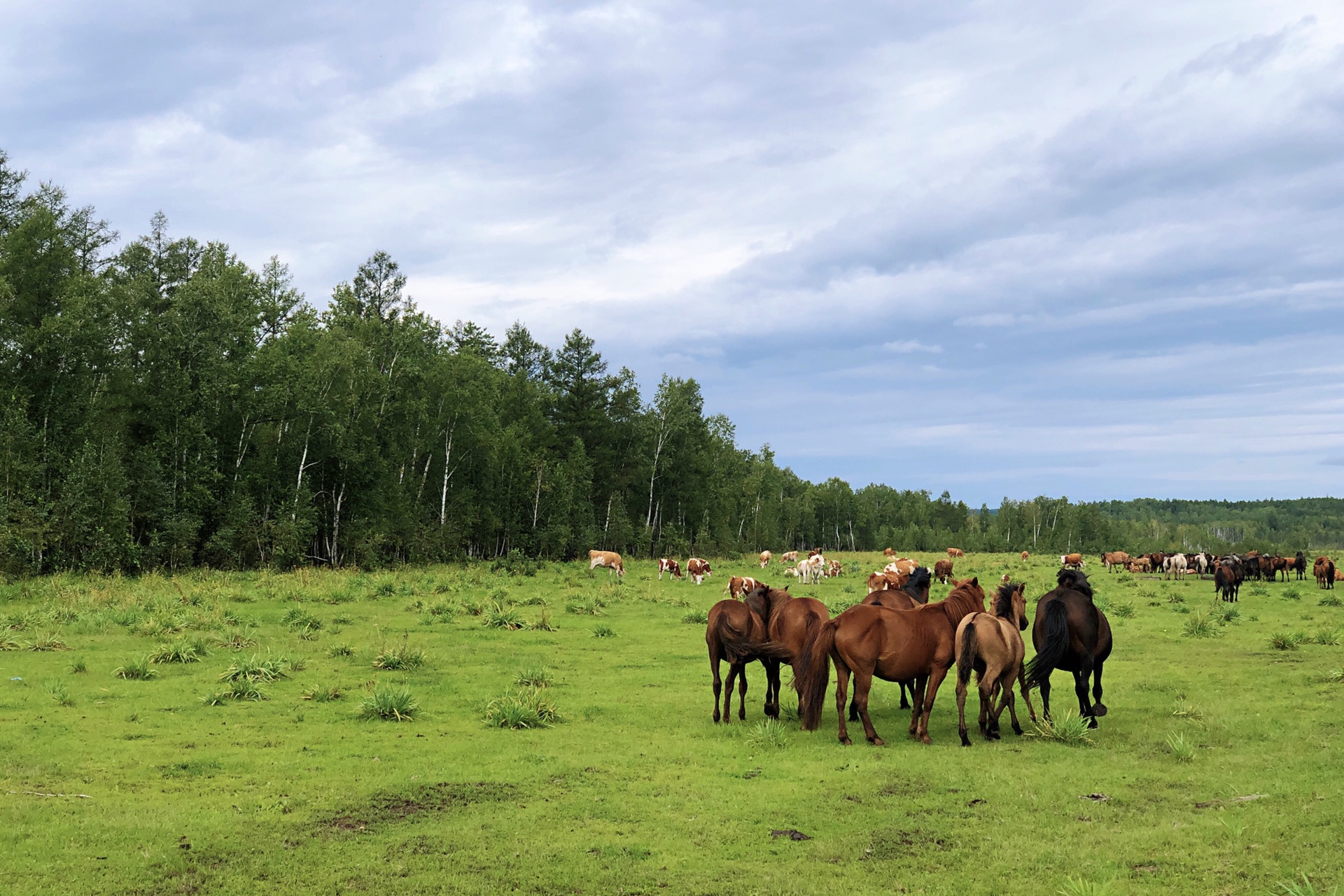 呼玛热门游记,呼玛自助游游记,呼玛旅游热门游记 - 马蜂窝
