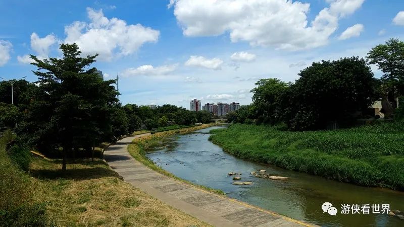 深圳:龙岗河绿道徒步(龙园到爱联)
