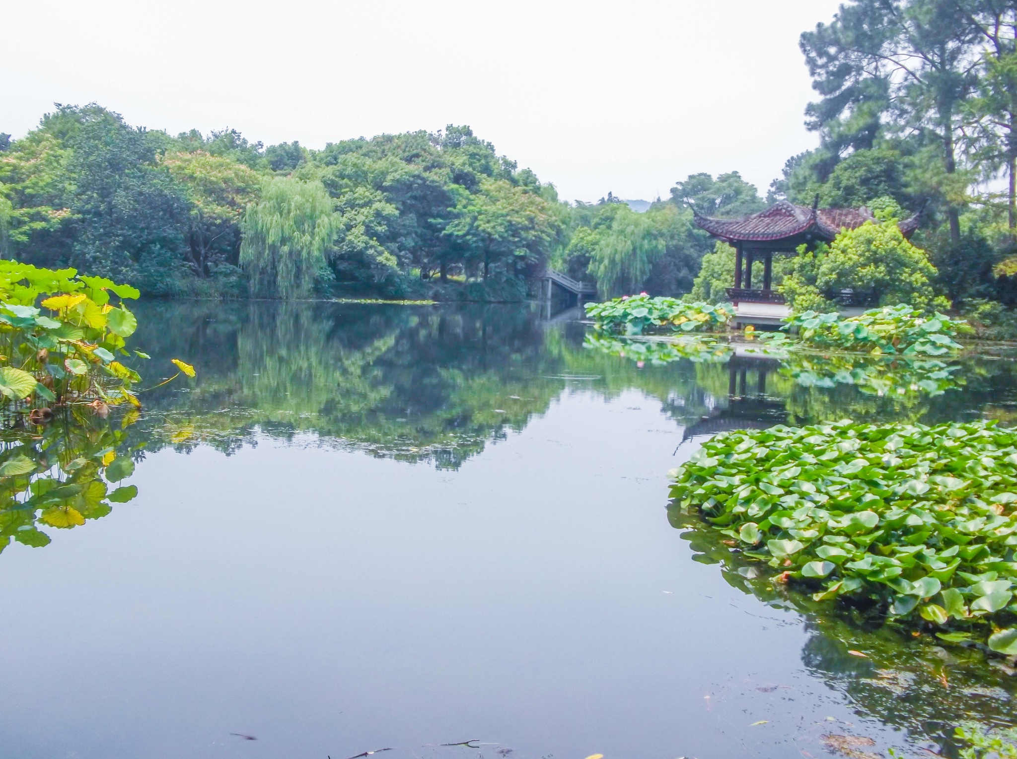 苏杭之行上有天堂下有苏杭人生第一次长途旅行