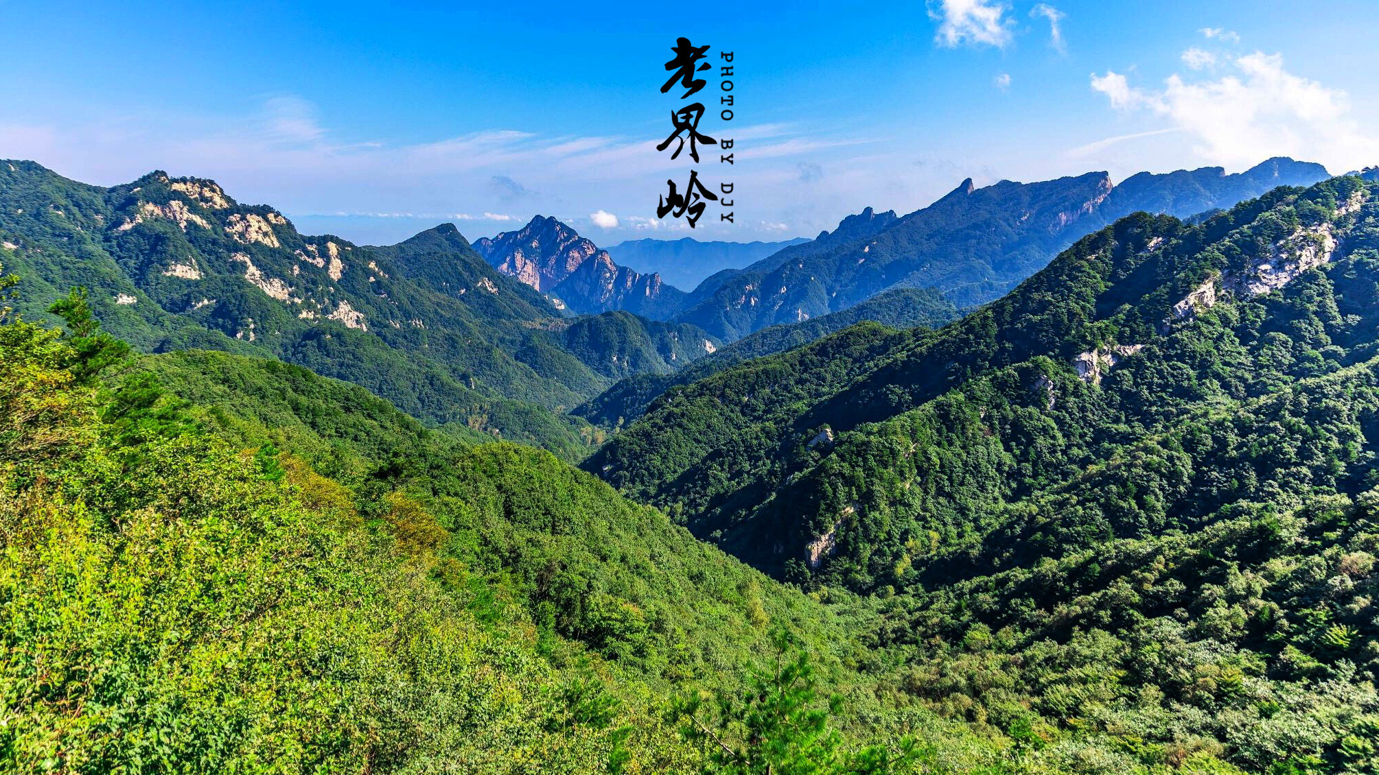河南西峡老界岭风景区图片