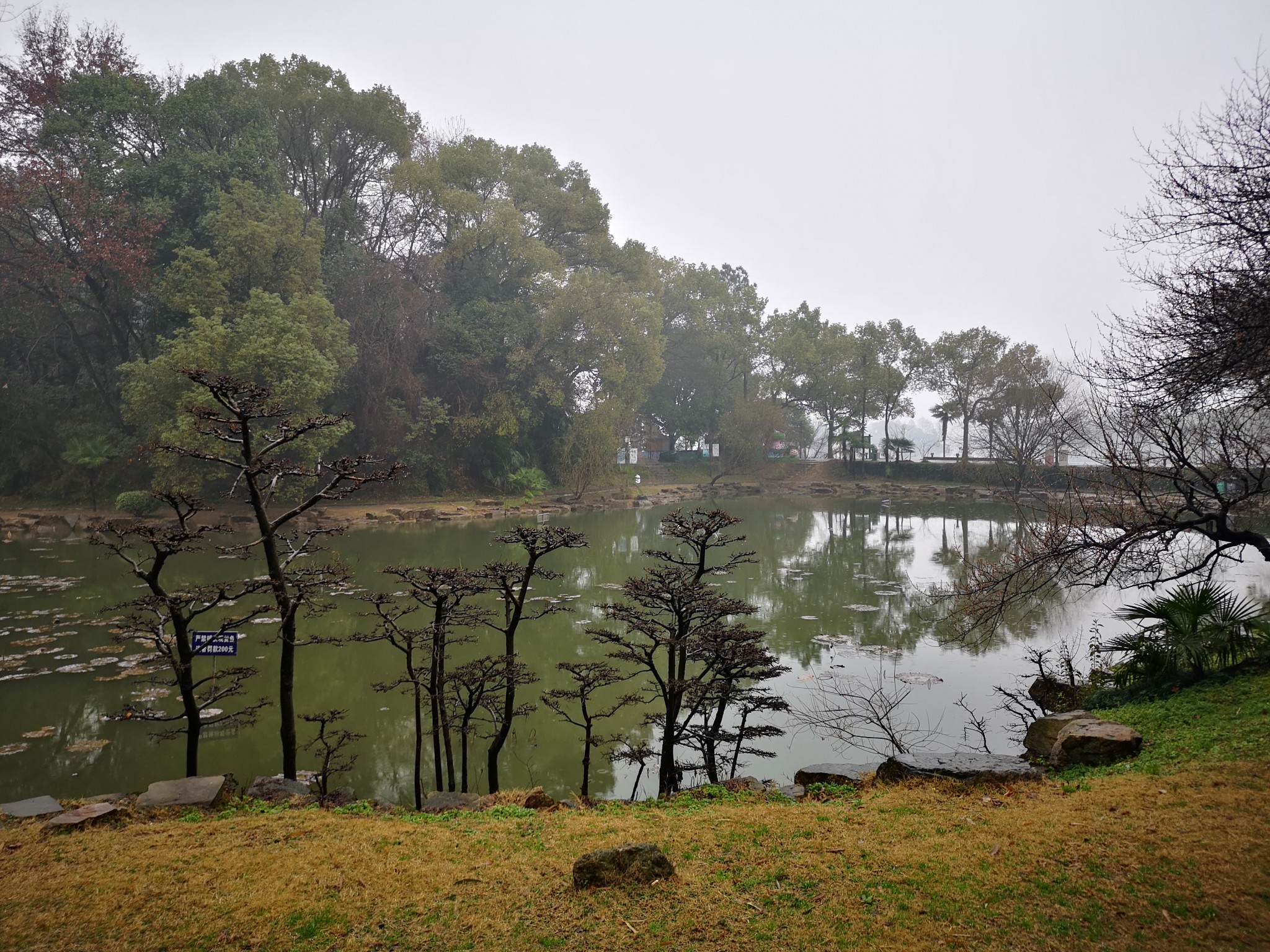 團城山公園