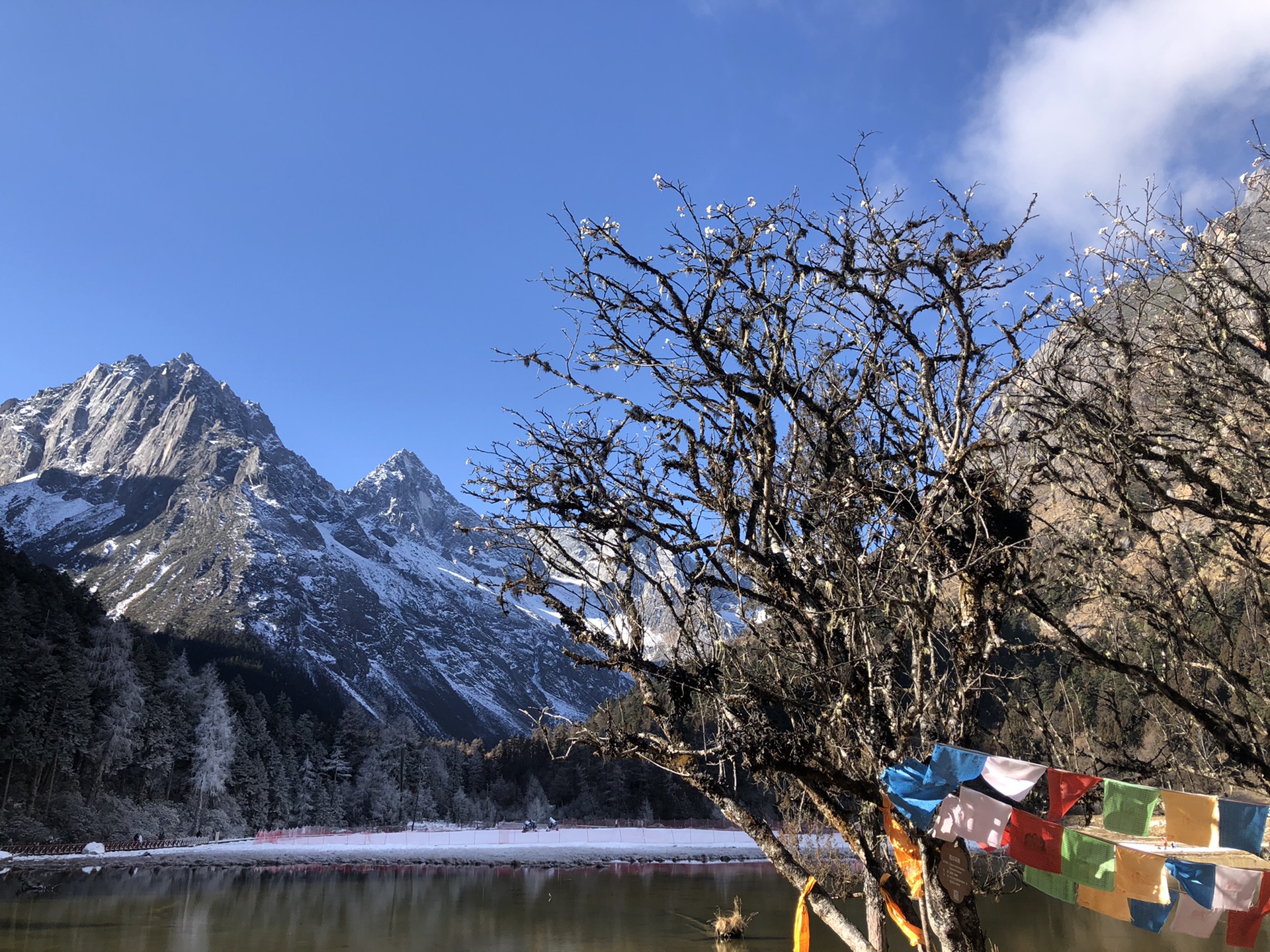 畢棚溝 達古冰川 鷓鴣山 滑雪賞景3日遊