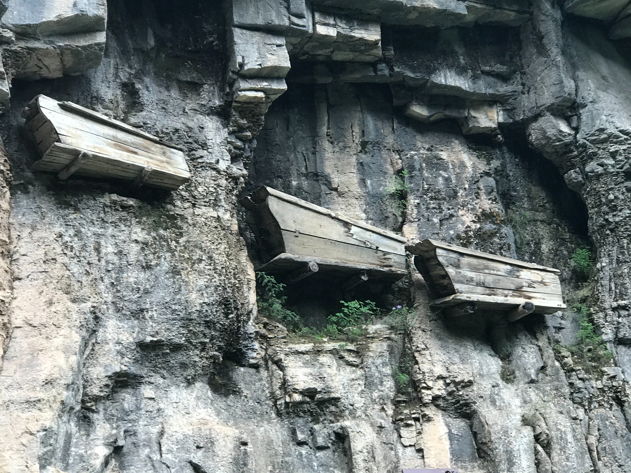 貴州安順紫雲格凸河發現千年懸棺,留下2大謎團震撼世界