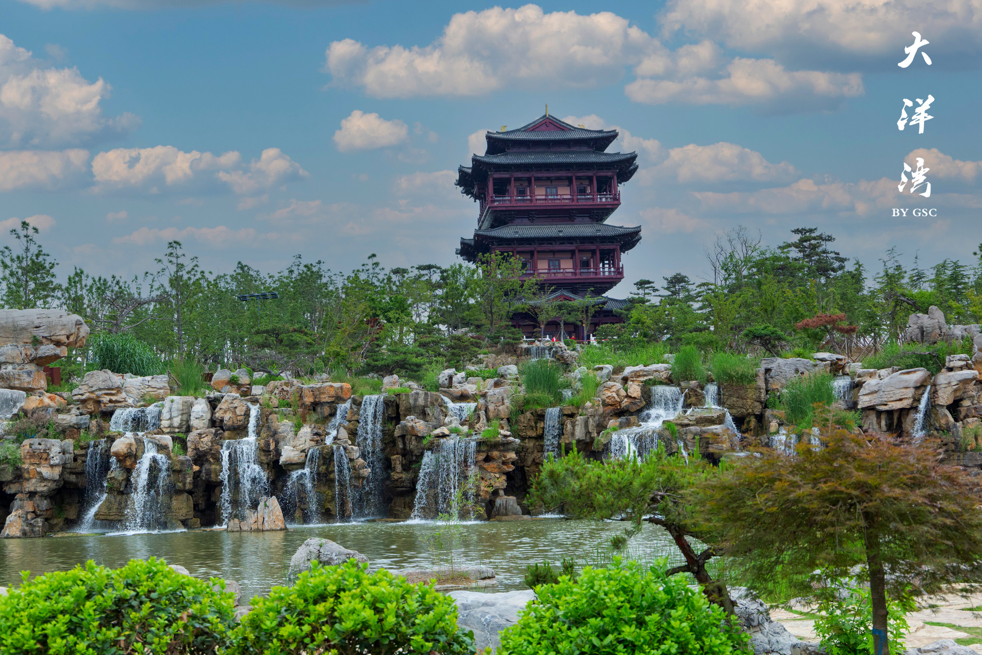 盐城大洋湾许你一场粉色的精灵之约