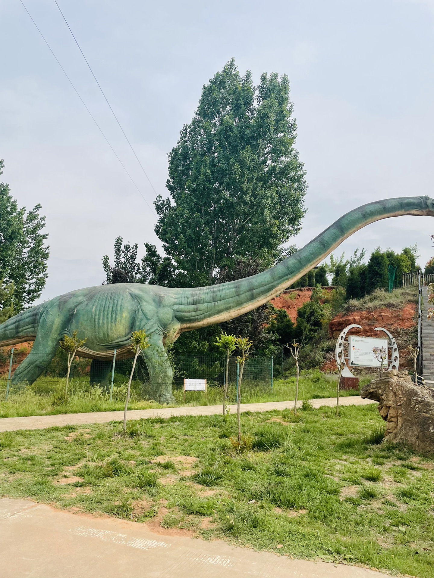 汝陽恐龍國家地質公園-半天遊