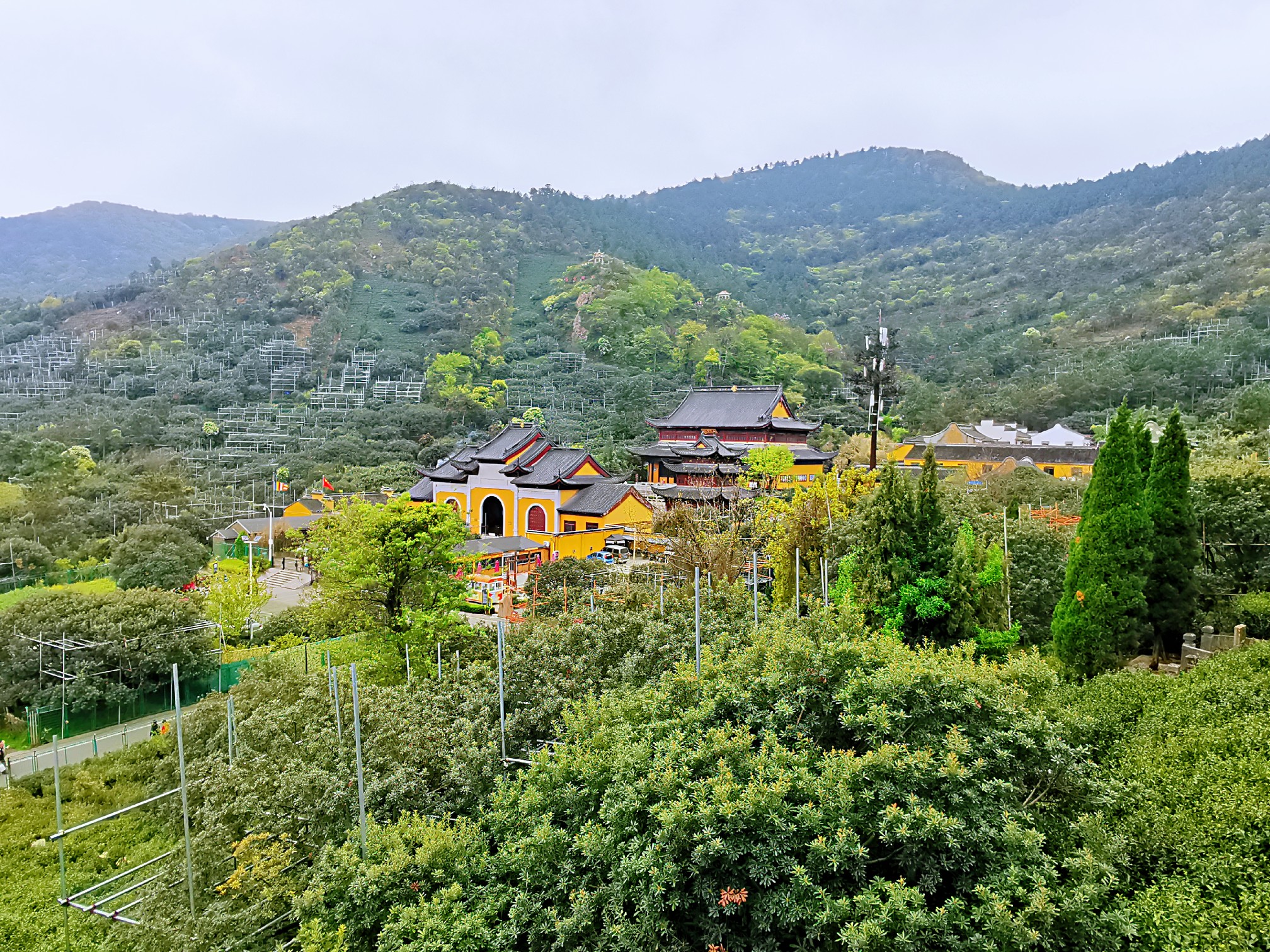 遇见树山,苏州旅游攻略 - 马蜂窝