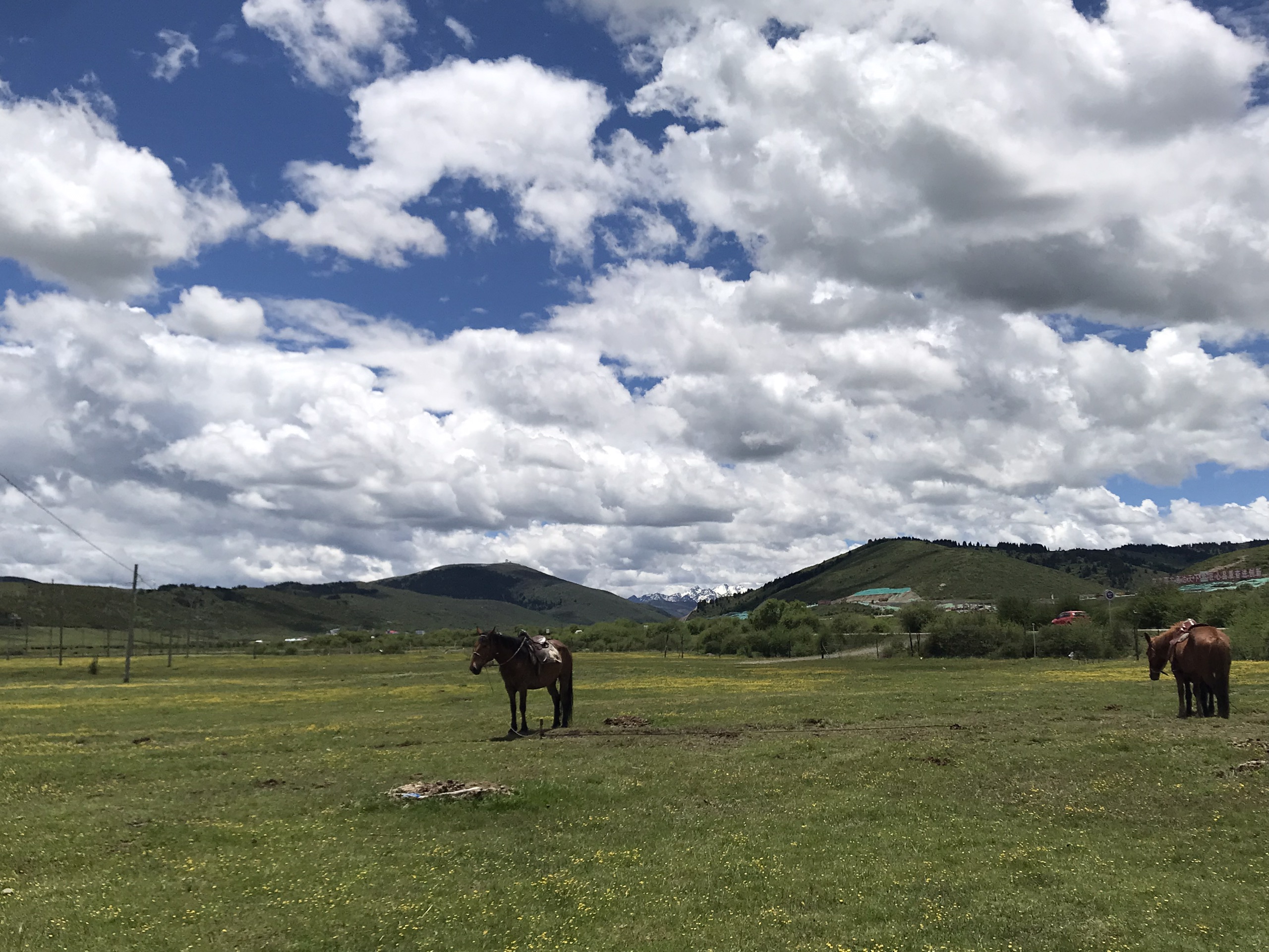 長江黃河分水嶺旅遊圖片,長江黃河分水嶺自助遊圖片,長江黃河分水嶺