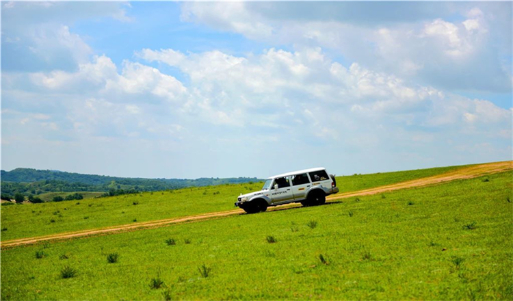 乘坐越野车行走在过山车似的【草原小天路】上,感受真正的没有开发