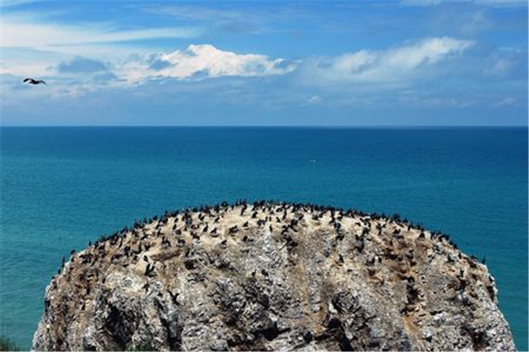 青海湖8天7晚跟團遊(張掖七彩丹霞-嘉峪關-敦煌-水上雅丹-東臺吉乃爾