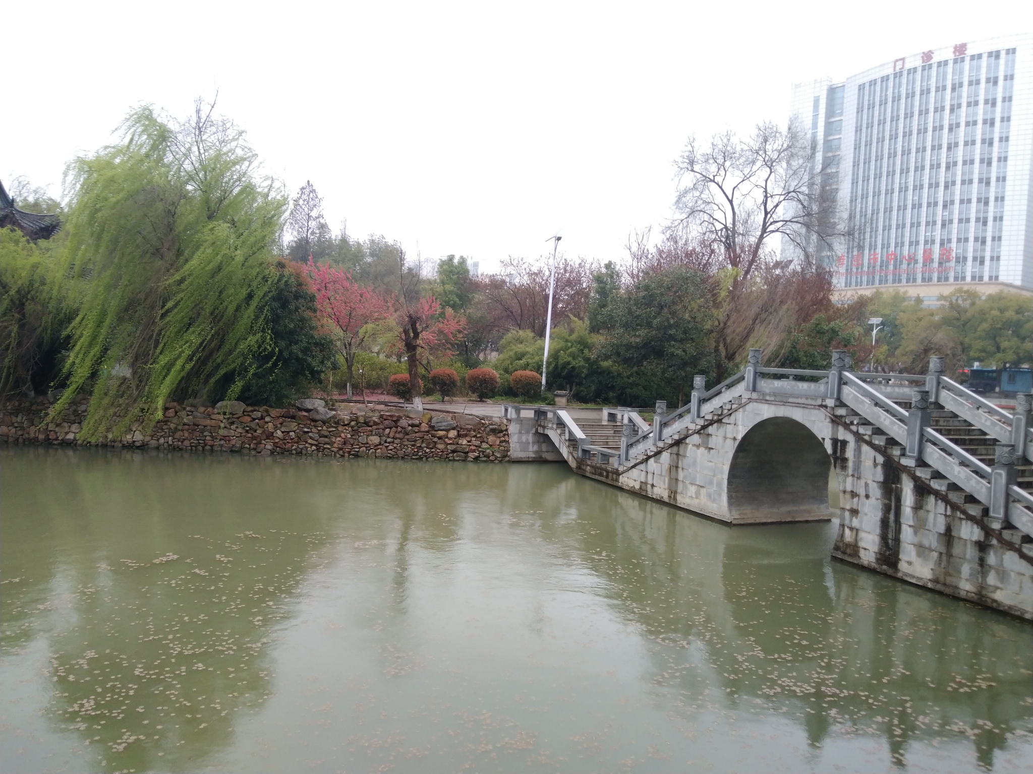 2021.3孝感后湖公园二