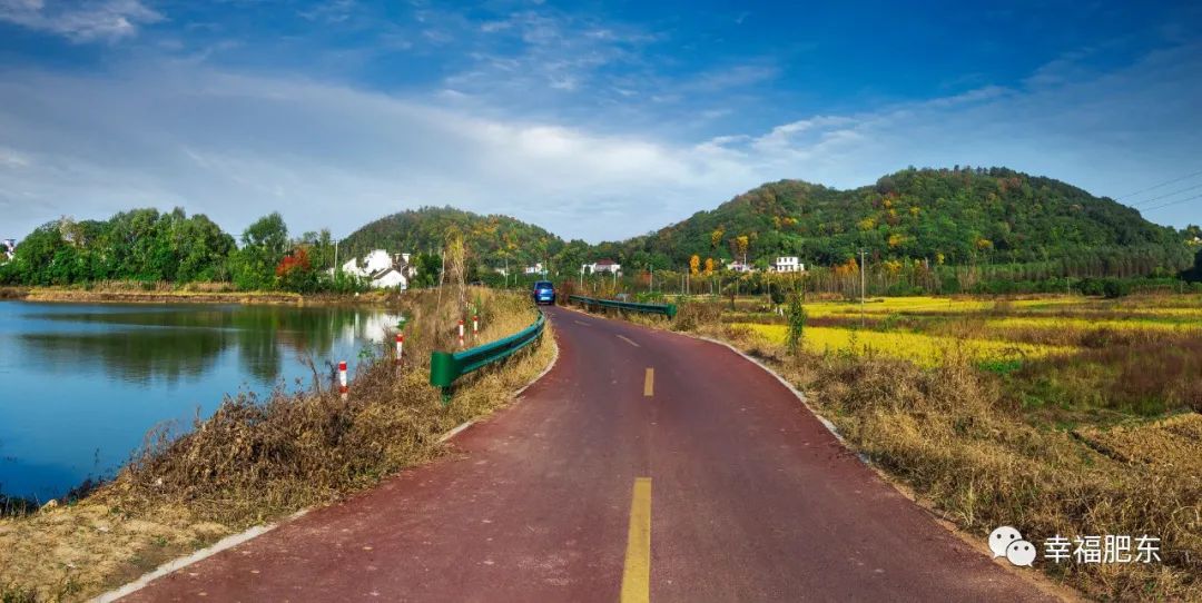 四顶山森林公园