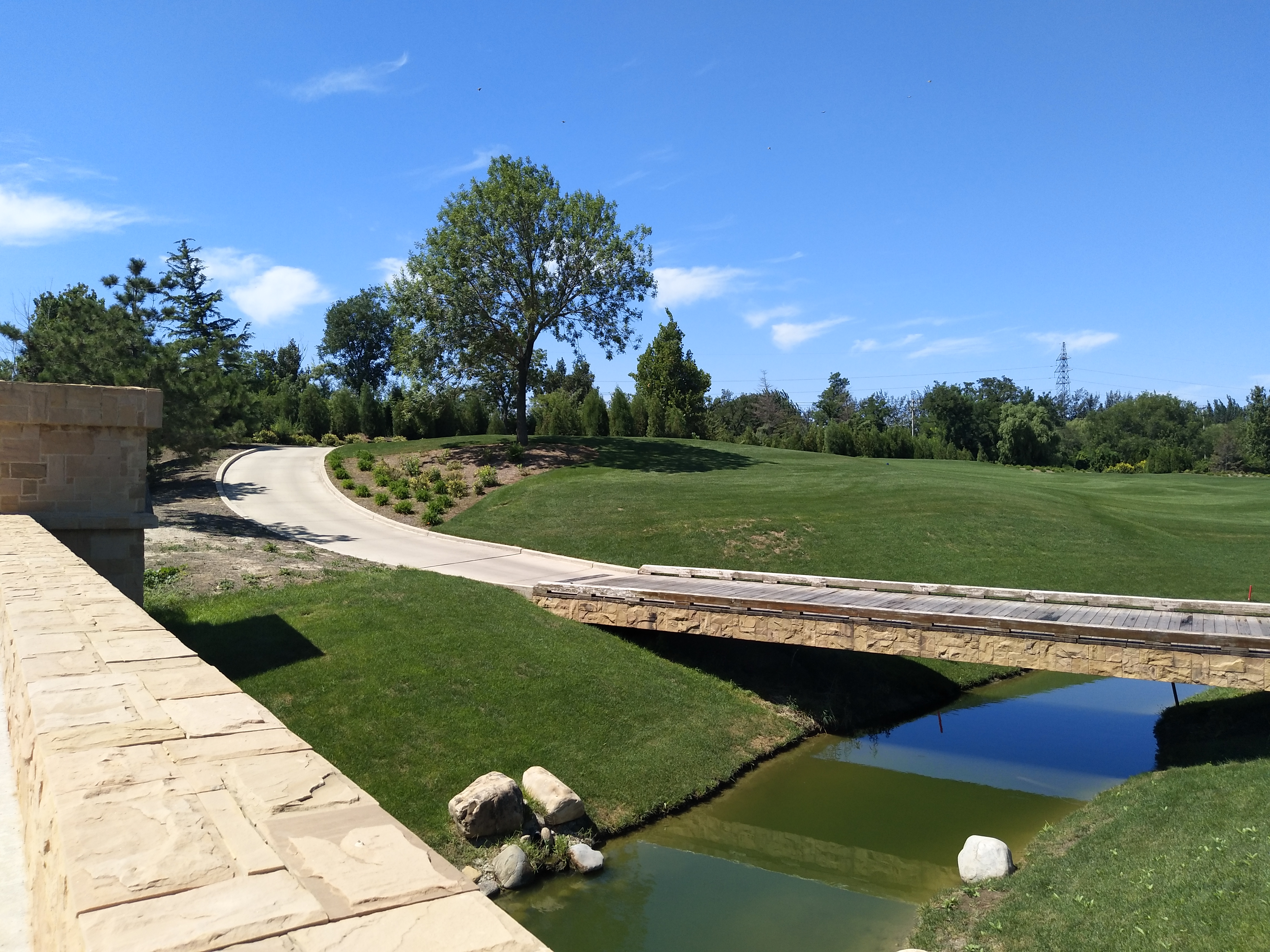 天津杨柳青森林公园