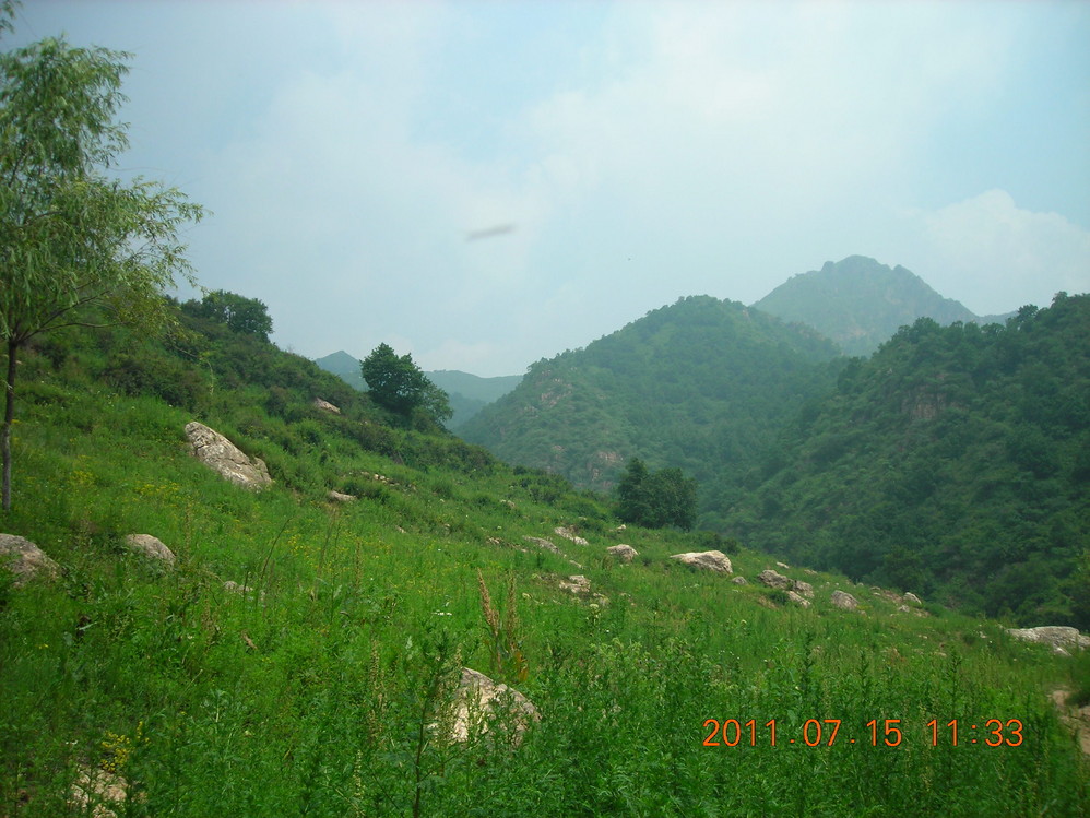 空中草原,以後隱居的地方~圖片426,河北省旅遊景點,風景名勝 - 螞蜂窩