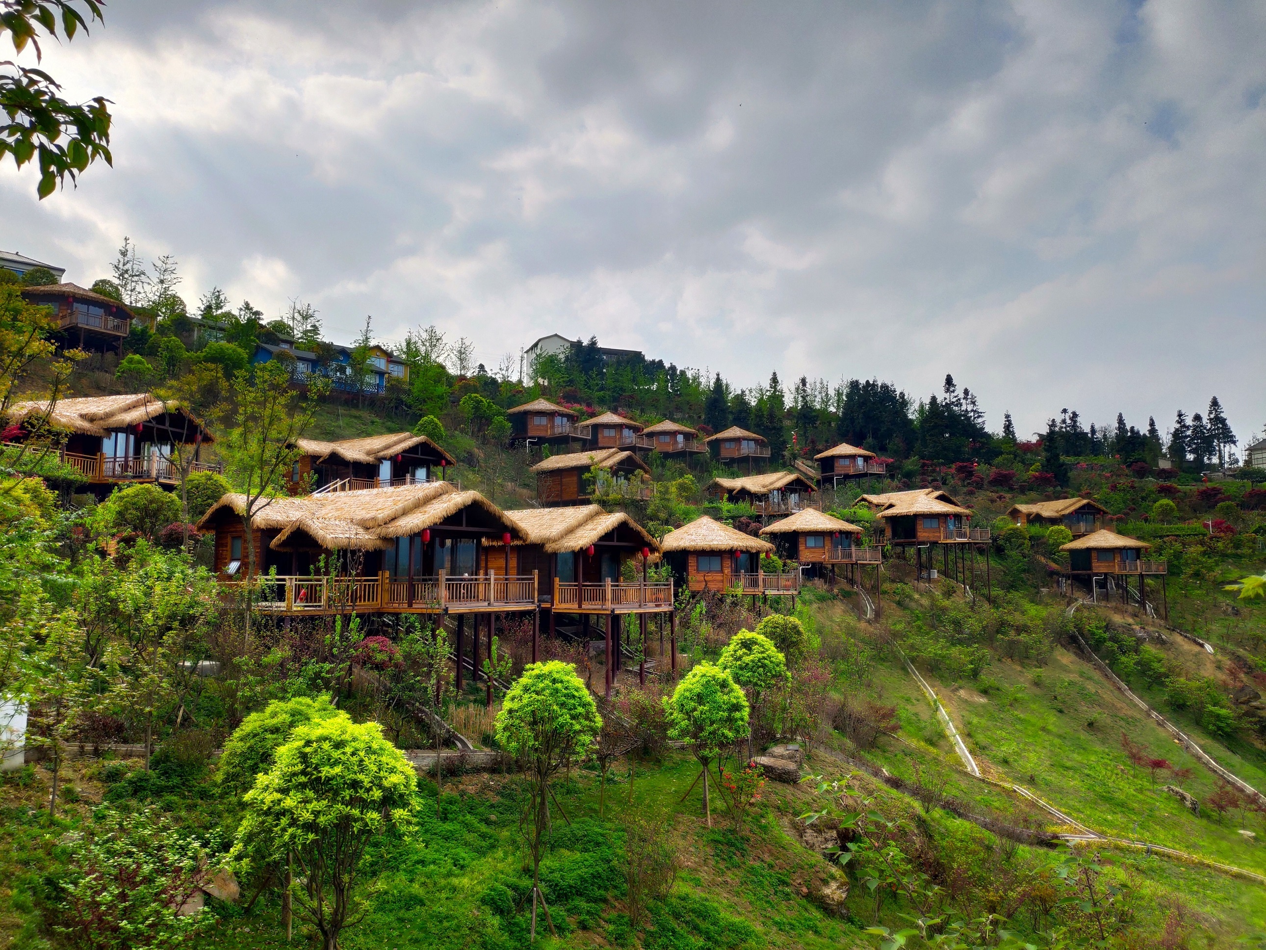 桐梓王强果园农家乐