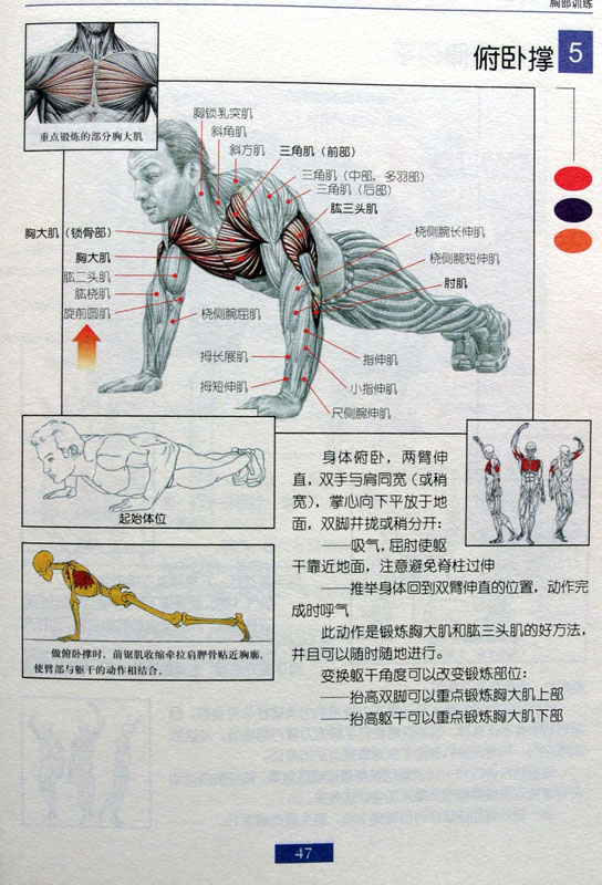 《男士健身方案》男生科学健身必备锻炼方案