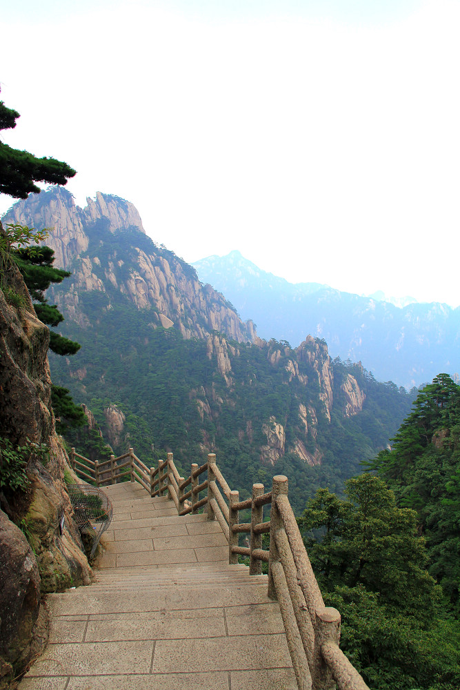 首次黃山行,旅遊攻略 - 馬蜂窩