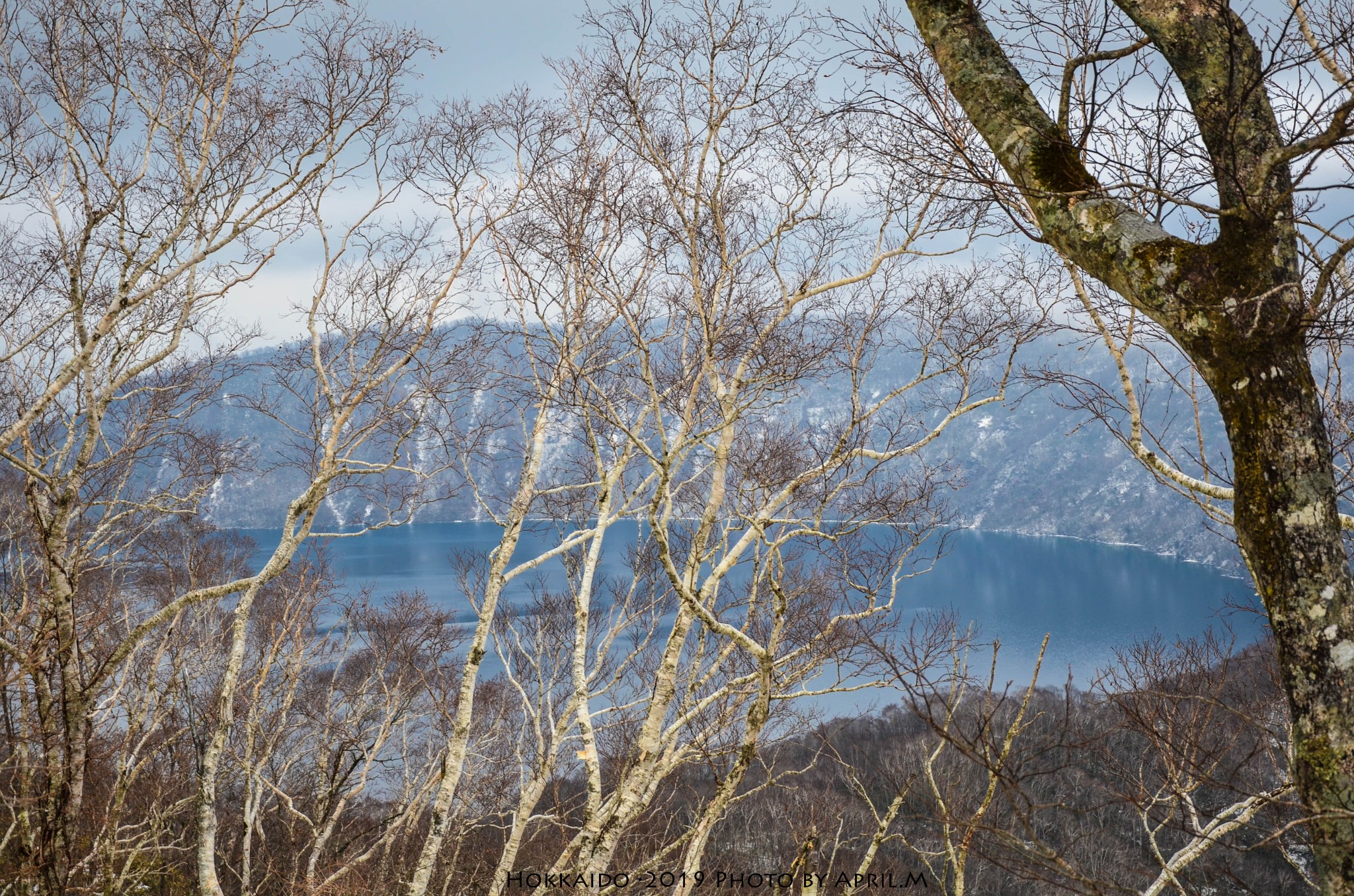 北海道自助遊攻略