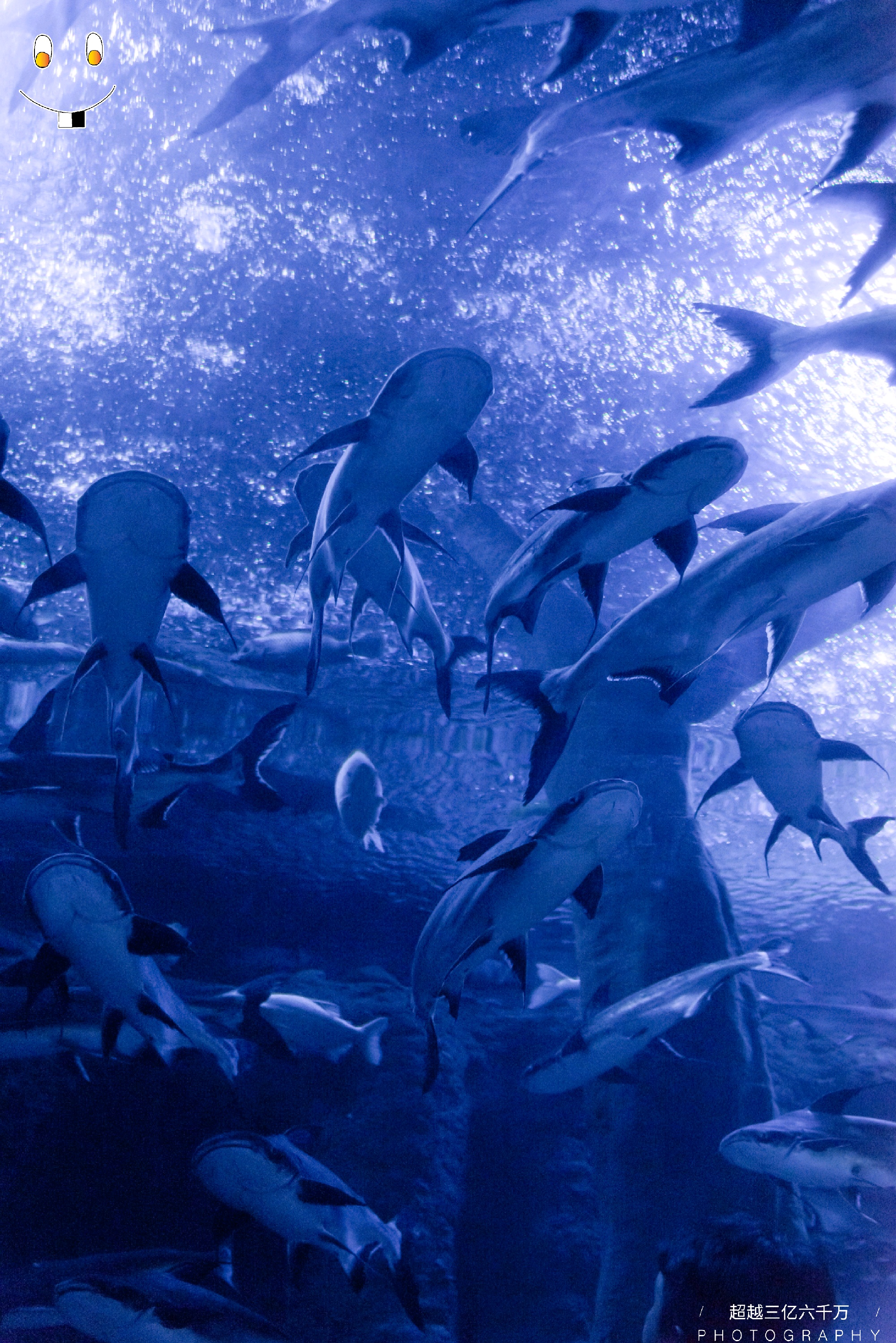 浩海立方海洋馆