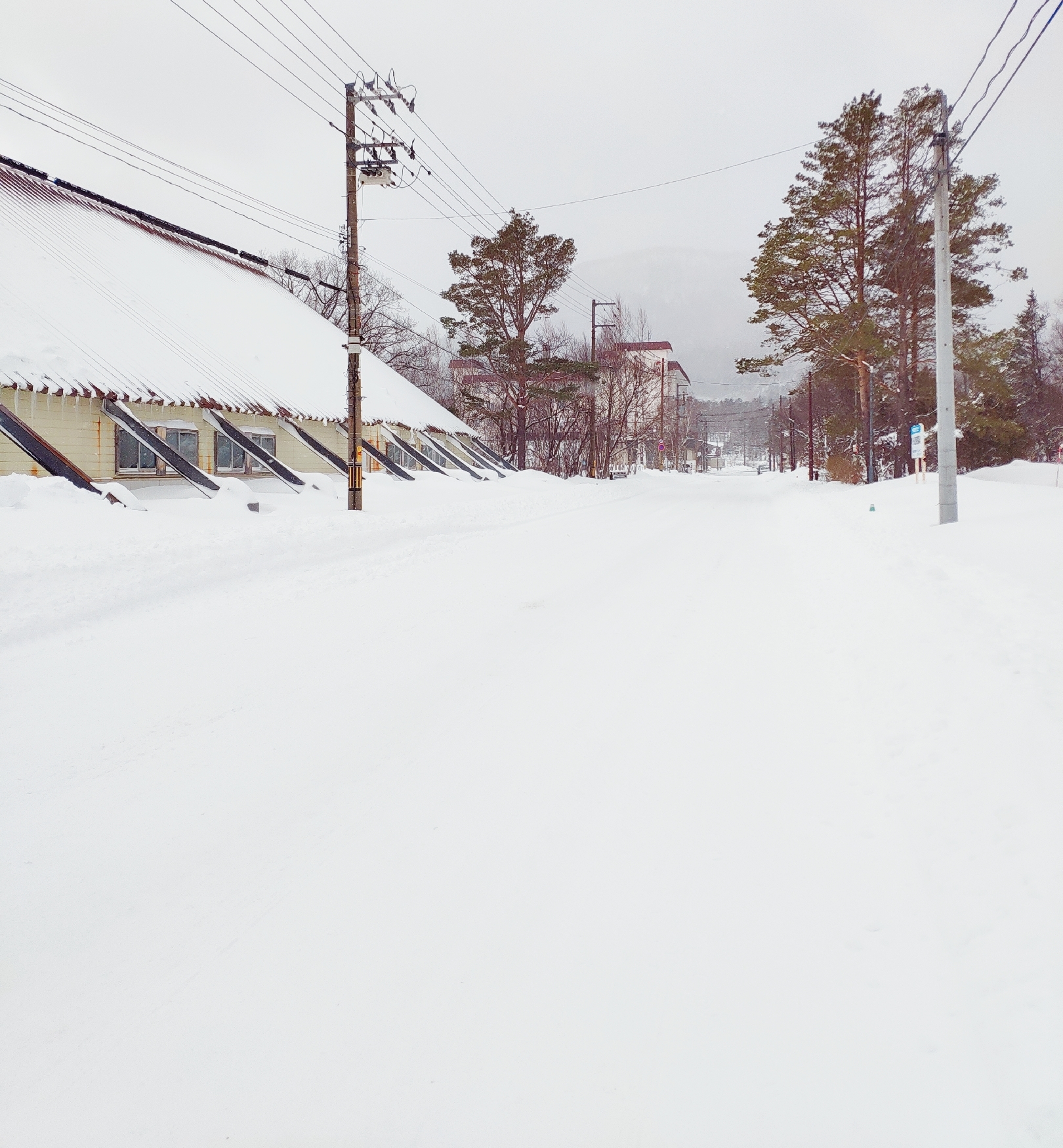 北海道自助遊攻略