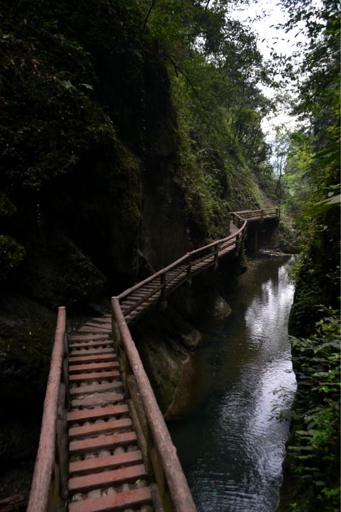 问道青城山(前山 后山)--青城山游记--马蜂窝