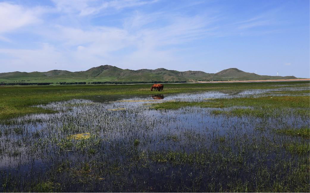 wKgB3FINnImAL72nABG8QimQPZ810.jpeg?imageView2%2F2%2Fw%2F600%2Fq%2F90