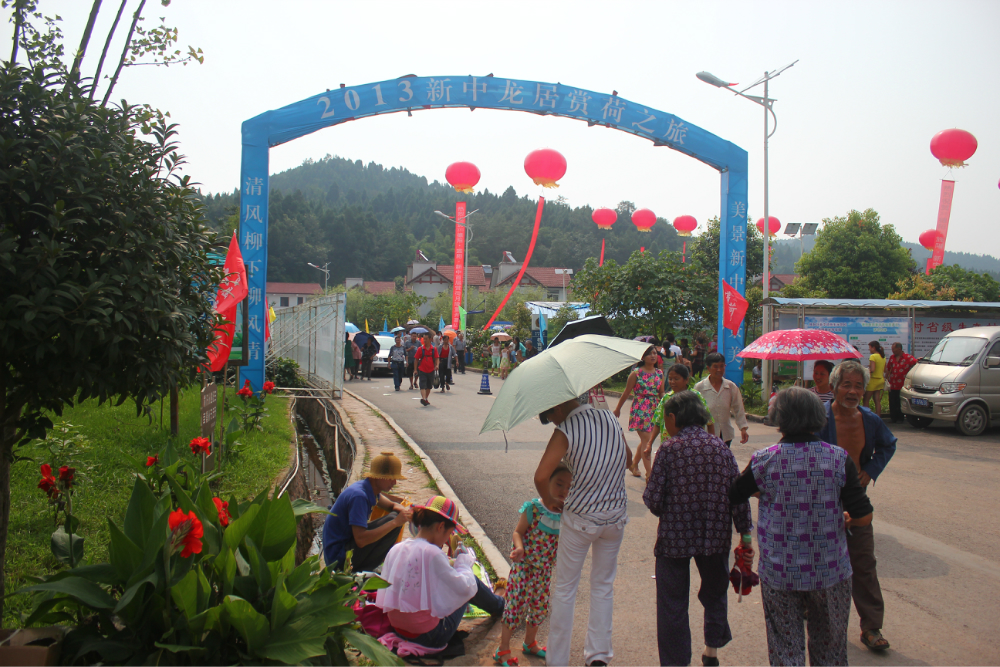 新中龙居村荷花节,就是是人山人海