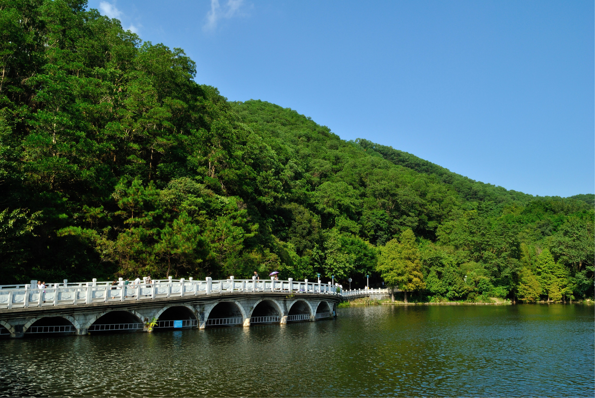 周末仙湖植物园一爬·········求聚会····求偶遇