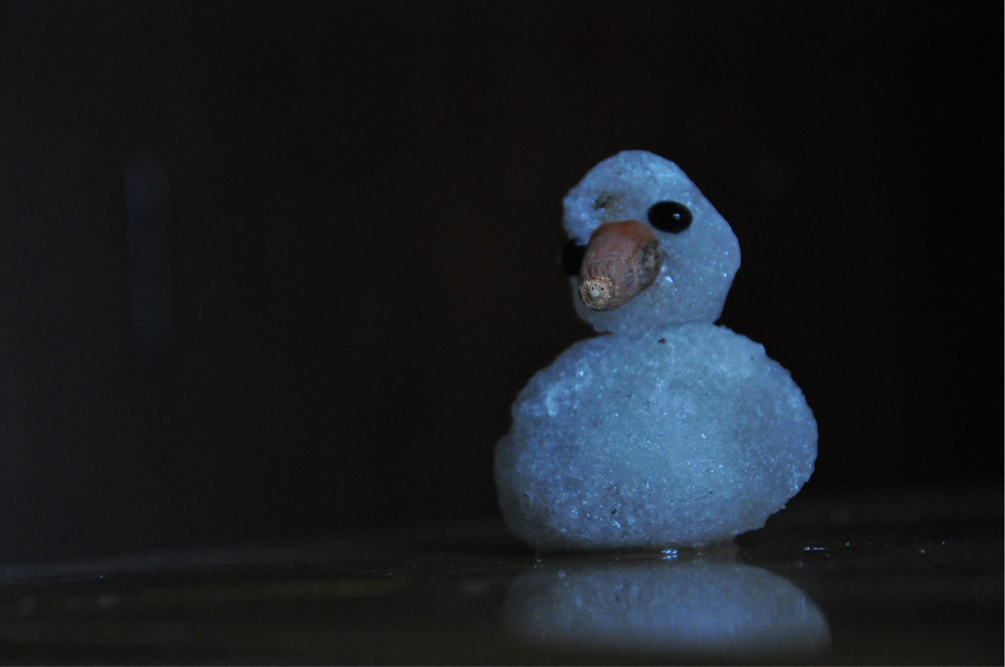 是不是真有点像小鸭子呀,还带着点小忧郁.