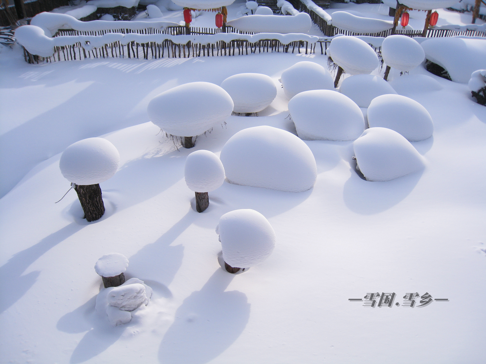 雪鄉自助遊攻略