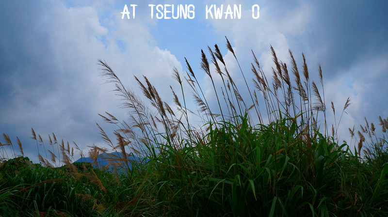 cheung chau 太平清醮后的长洲