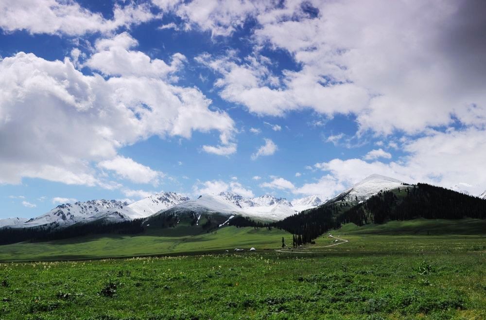 美丽的天山大草原曲谱_南国天山大草原