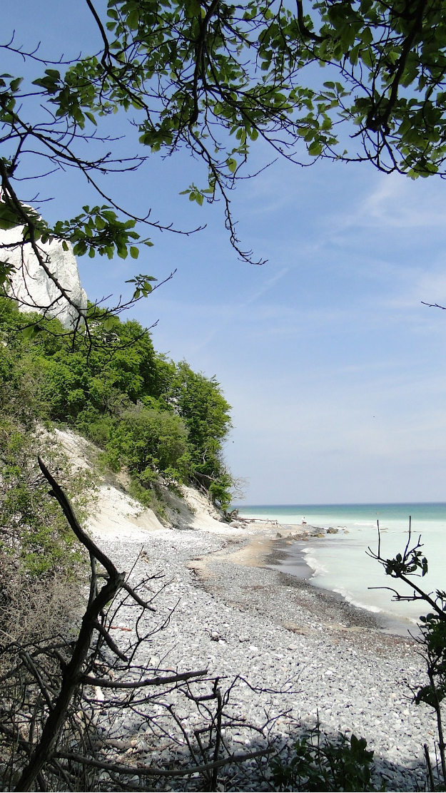 丹麦默恩白崖(the white cliff)