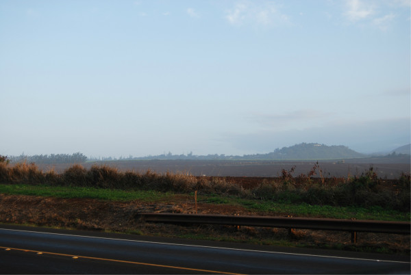 猜成语图片落日路_看图猜成语