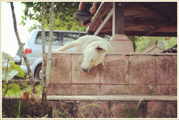 怎么养鱼不怕人 wKgB3FFmsUGAQjteAA4EoZg3gwg21.jpeg?imageView2%2F2%2Fw%2F600%2Fq%2F90