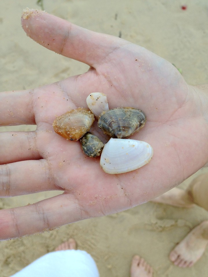 爱丽丝游记海陵岛周末两日行