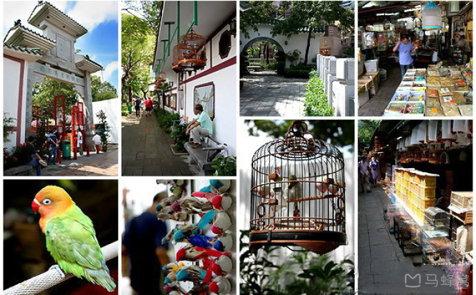 园圃街雀鸟花园