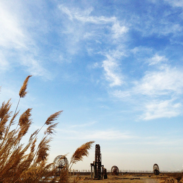 回复游记:塞上江南~宁夏平原的冬日