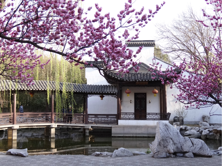 她东侧的廊桥,让人想起苏州拙政园的小飞虹.