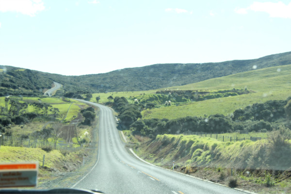 新西兰自由行全攻略