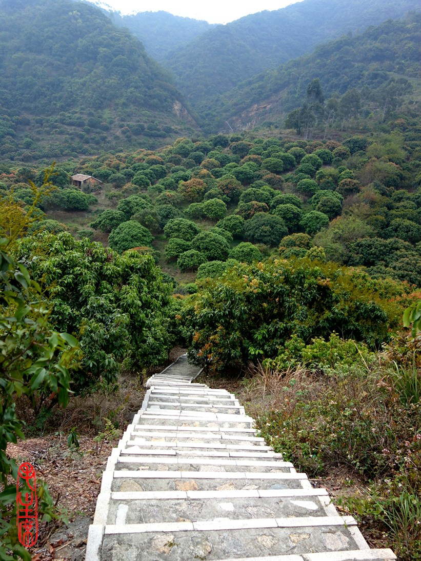 元宵巧遇大屏嶂森林公园之雷公山风景区