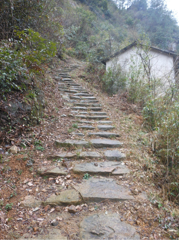 古道第一村嶺前徽源山人的腳落風景