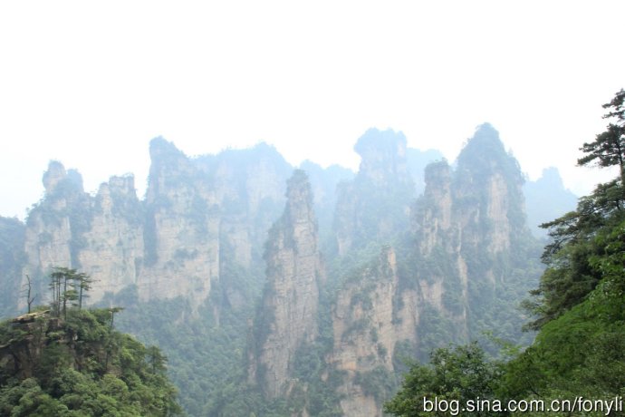 鱼虎云一猜一成语大全_一图一成语猜答案大全