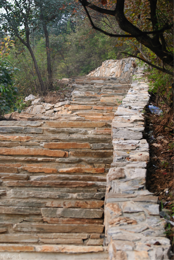 wKgB4lJQ_5OAd8UOAA8zgVB9dQ449.jpeg?imageView2%2F2%2Fw%2F600%2Fq%2F90